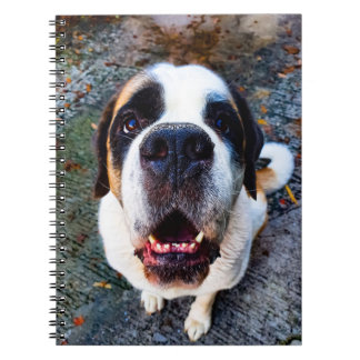 Bernhadiner  ノートブック