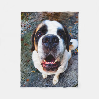 Bernhadiner  フリースブランケット