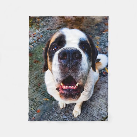 Bernhadiner  フリースブランケット (正面)