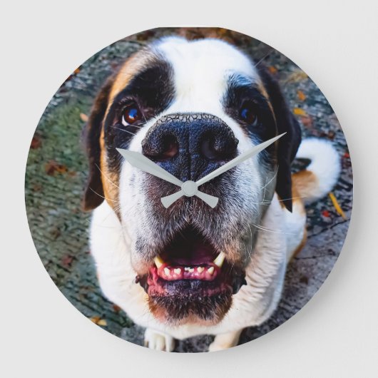 Bernhadiner ラージ壁時計 (正面)