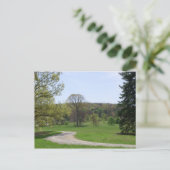 Bernheimの森林 ポストカード (スタンド正面)