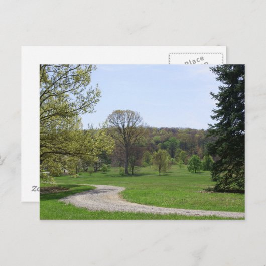 Bernheimの森林 ポストカード (正面/裏面)