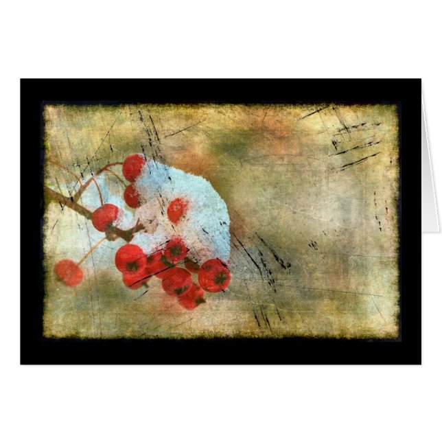 Berry Cold Grunge (正面横)