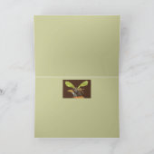 Berry Hat Nightカードで最後に知る カード (内部)