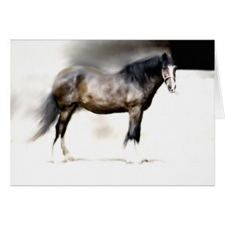 BERTHAの最も大きいシャイヤー