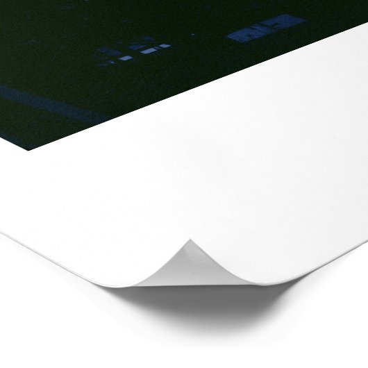 Bertrand Island Amusement Park Poster ポスター (角)