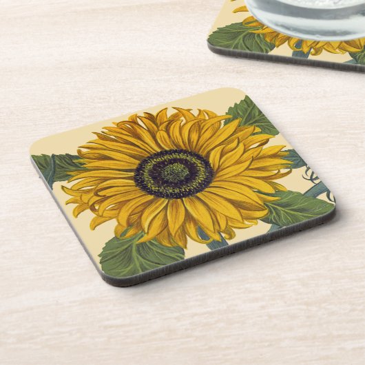 Besler: ヒマワリ コースター (左側)