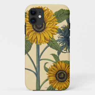 Besler: ヒマワリ iPhone 11 ケース