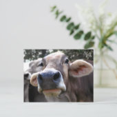 Bessy氏がグリーティングカードを紹介 ポストカード (スタンド正面)