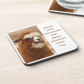 Best Alpaca Monobrow コースター (左側)