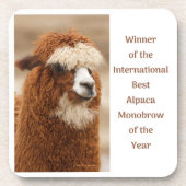 Best Alpaca Monobrow コースター (正面)