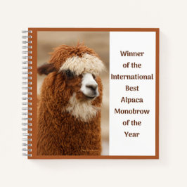 Best Alpaca Monobrow ノートブック