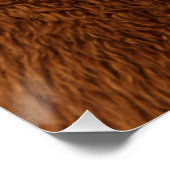 Best Alpaca Monobrow ポスター (コーナー)