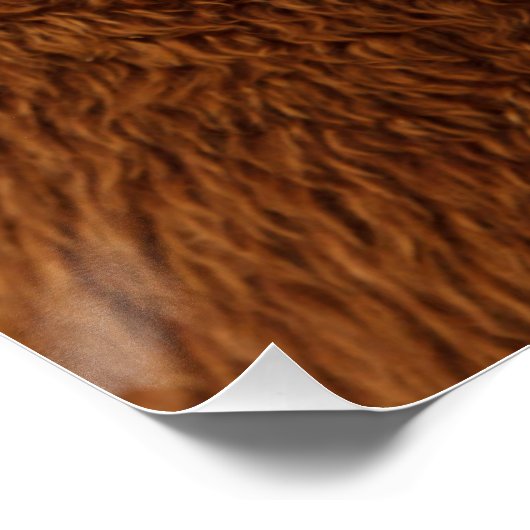 Best Alpaca Monobrow ポスター (コーナー)