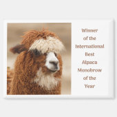 Best Alpaca Monobrow マグネット (正面)