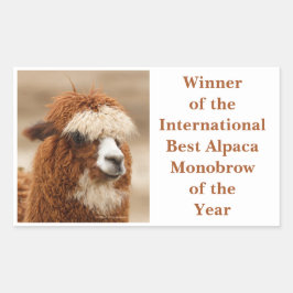 Best Alpaca Monobrow 長方形シール
