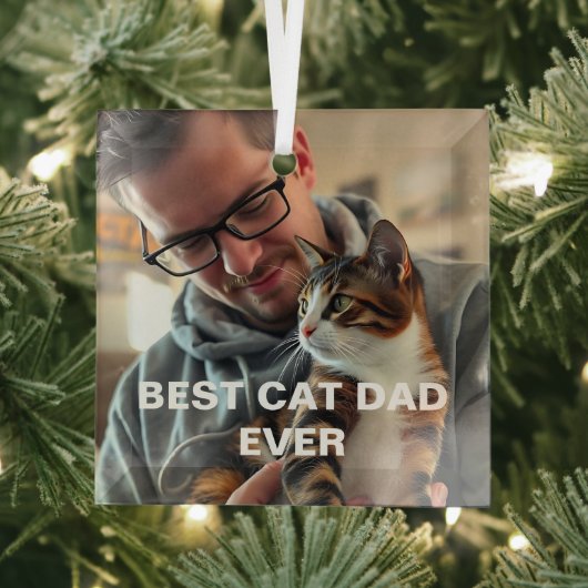 Best Cat Dad Ever – Modern Custom Photo Design ガラスオーナメント (インサイチュ)
