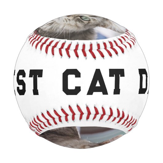 Best Cat Dad Photo Personalized Baseball 野球ボール (正面)