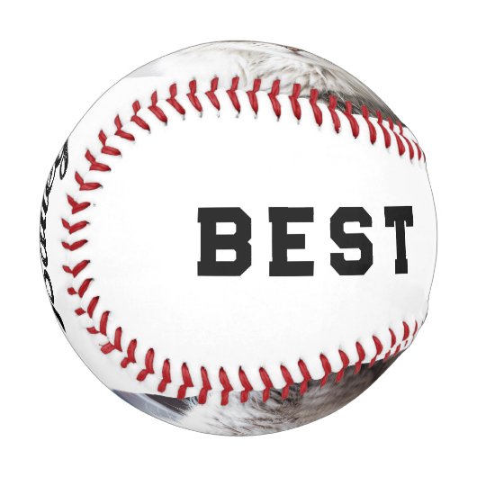 Best Cat Dad Photo Personalized Baseball 野球ボール (正面左)