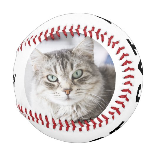 Best Cat Dad Photo Personalized Baseball 野球ボール (裏面左)