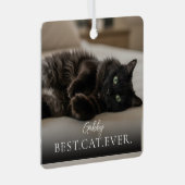 Best Cat Ever Your Pet Name And Photo  メタルオーナメント (正面右)