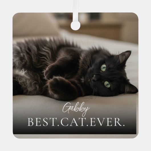 Best Cat Ever Your Pet Name And Photo  メタルオーナメント (正面)