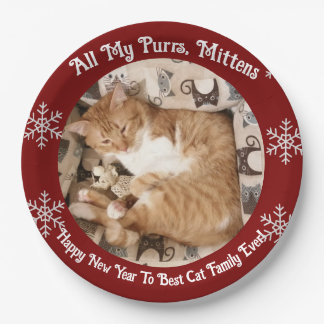  Best Cat Family  Ever , Cat Photo ,  ペーパープレート
