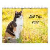 Best Cats カレンダー (カバー)