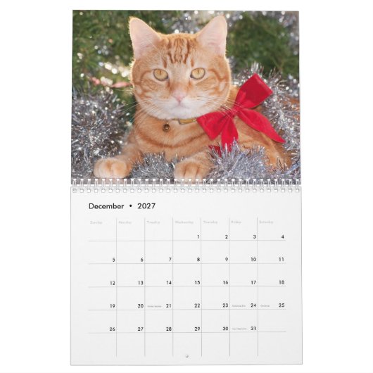Best Cats カレンダー (12月 2027)