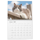 Best Cats カレンダー (1月 2027)