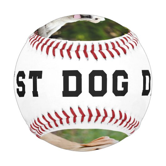Best Dog Dad Photo Personalized Baseball 野球ボール (正面)