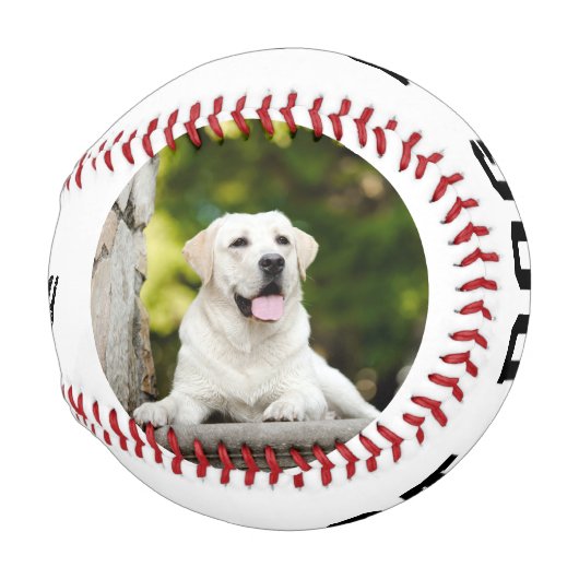 Best Dog Dad Photo Personalized Baseball 野球ボール (裏面左)