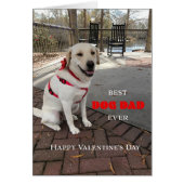 Best Dog Dad Valentine Labrador Cute (正面)
