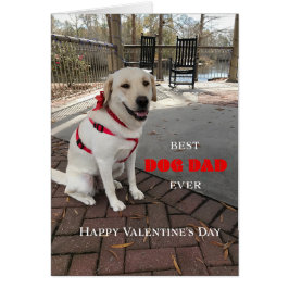 Best Dog Dad Valentine Labrador Cute