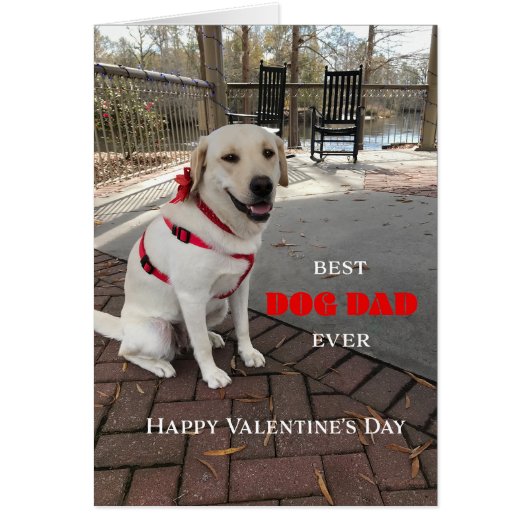 Best Dog Dad Valentine Labrador Cute (正面)