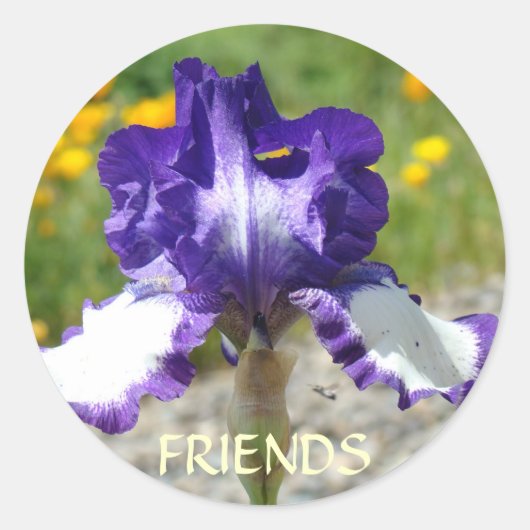 BEST FRIEND STICKERS 紫色のアイリス 花 ギフト ラウンドシール (正面)