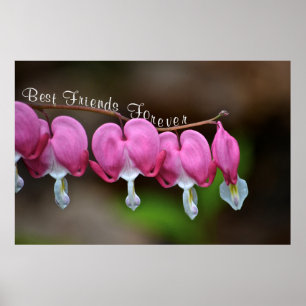 Best Friends Forever ポスター