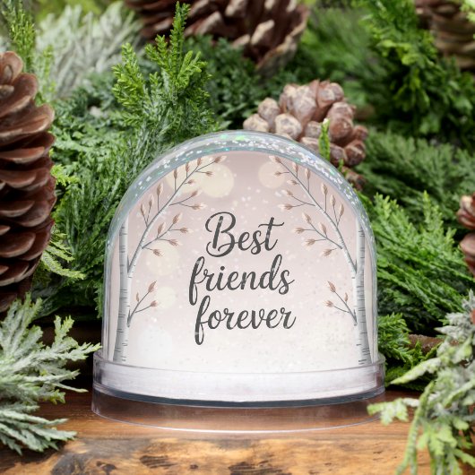 Best Friends Forever Snow Globe – Cute Minimal Fri (冬)