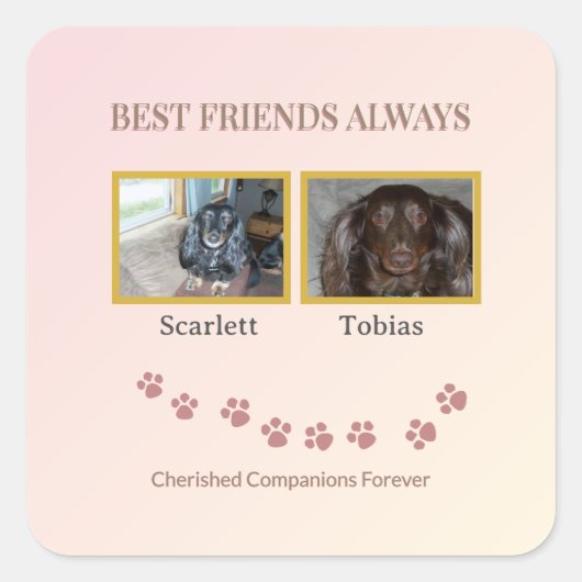 Best Friends Pawprint スクエアシール (正面)