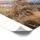 Best Mom Ever Photos Heart Mothers Day Gifts ポスター (角)