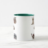 Best Raccoon Meme Compilation Funny Meme Set Mug マグカップ (中央)