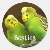 Besties Green and Yellow Parakeets ラウンドシール (正面)