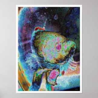 Beta fish 1 ポスター