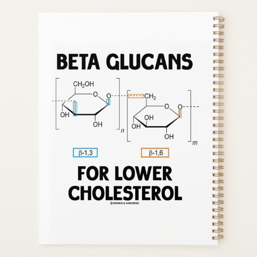 Beta Glucans For Lower Cholesterol Molecule プランナー手帳 (裏面)
