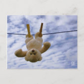 Beterschap en een dikke knuffel. ポストカード (正面)