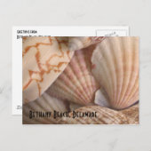 Bethanyのビーチの郵便はがき ポストカード (正面/裏面)