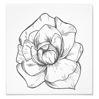 Bethany フォトプリント