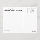 Bethany Shellsはがき ポストカード (裏面)