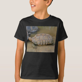 betsyのためのDSC05748 Tシャツ