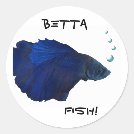 Bettaの魚のステッカー ラウンドシール (正面)